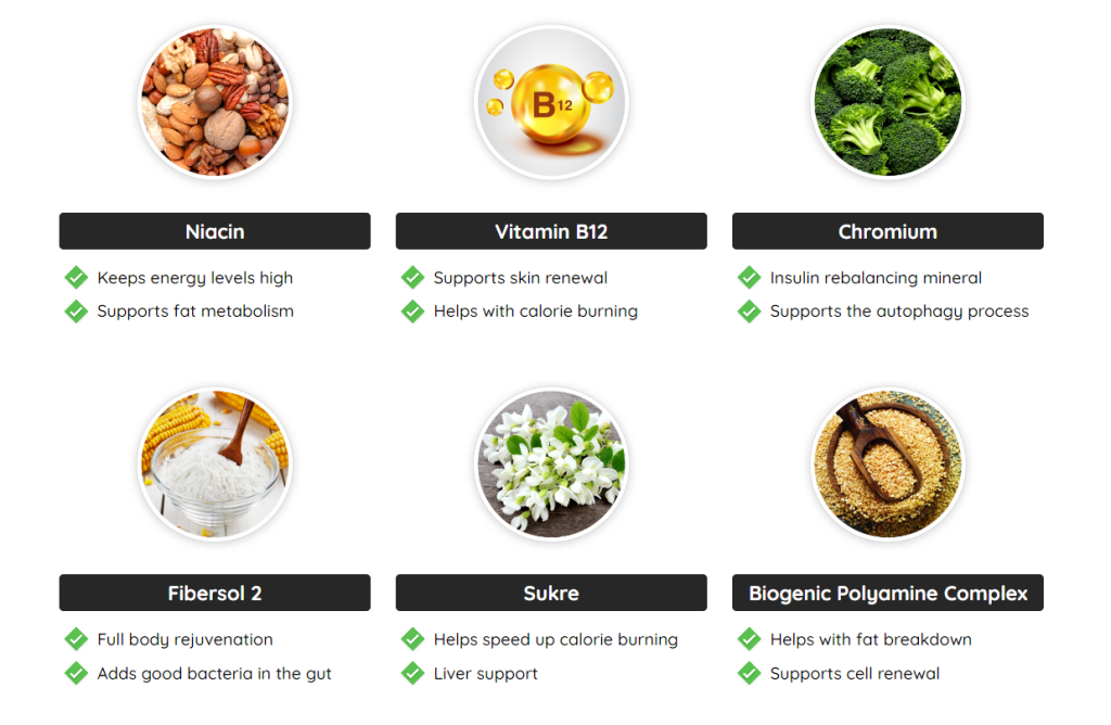 Fast Lean Pro ingredients